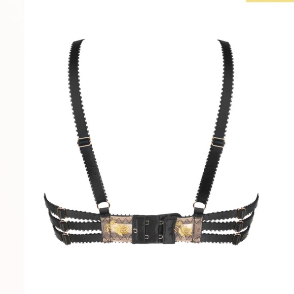 Edge o beyond | NWT bra sz 5 | charlotte bra sheer in en or (gold) color way - Picture 5 of 14